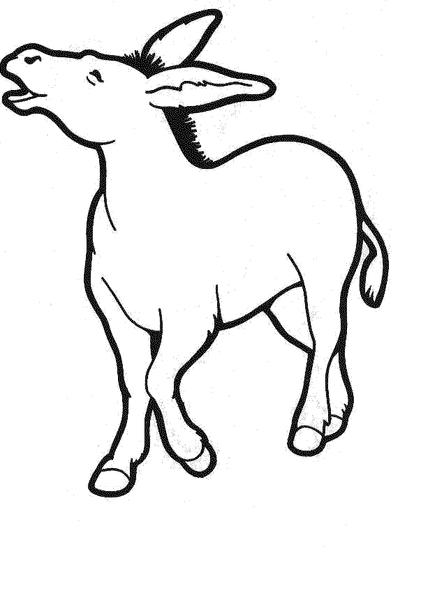 Osły kolorowanki